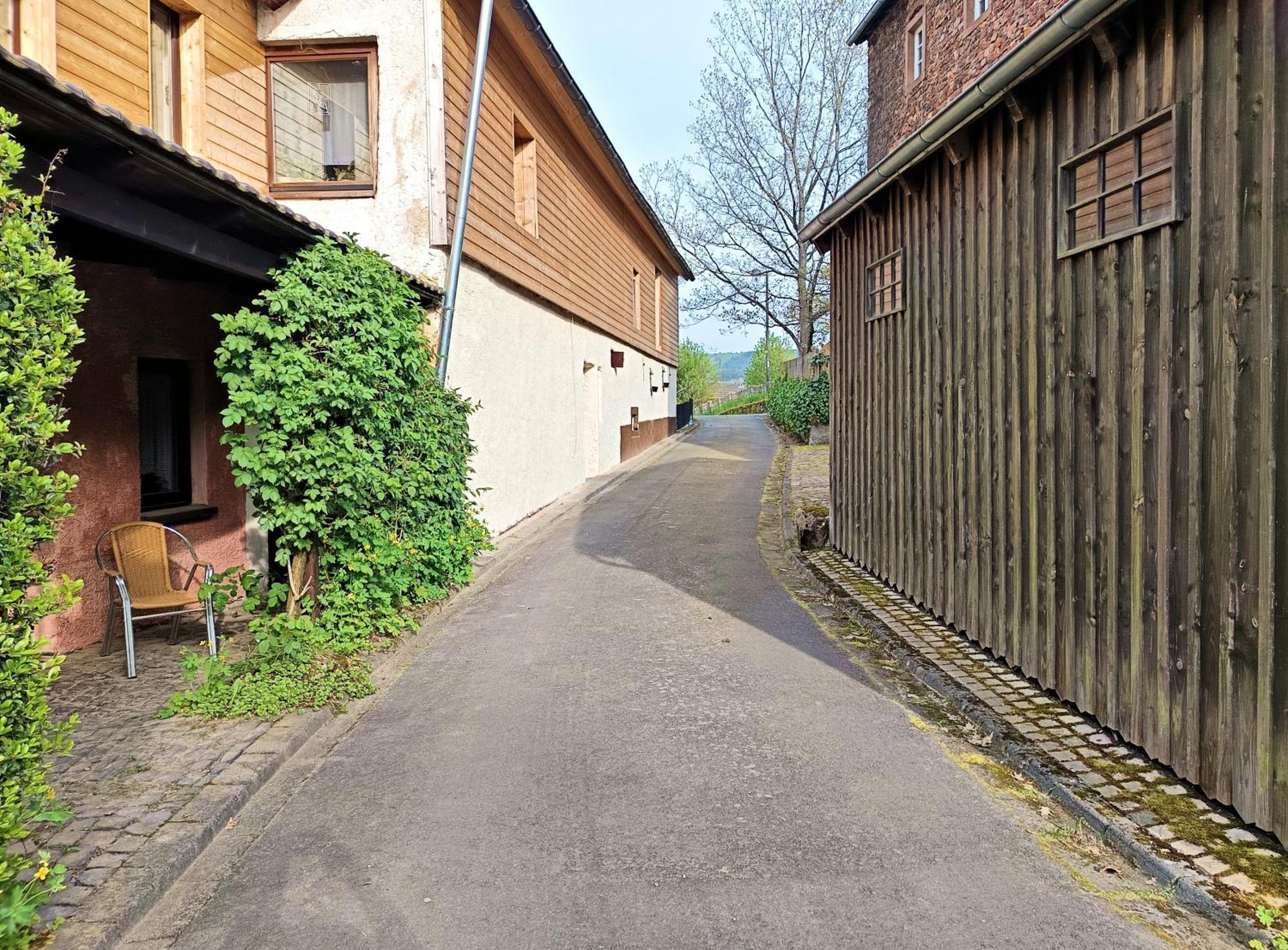 Haus Am Burgring Apartment Murlenbach Luaran gambar