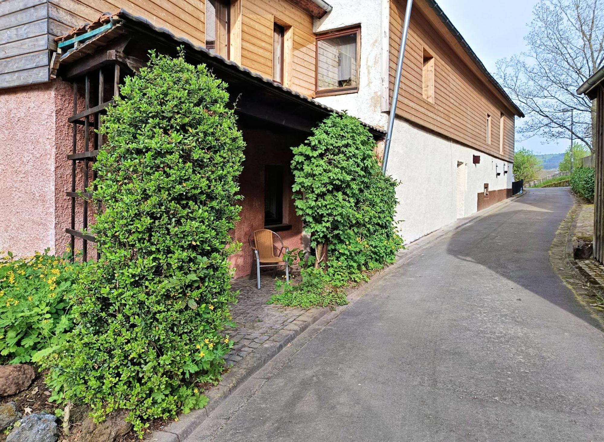 Haus Am Burgring Apartment Murlenbach Luaran gambar